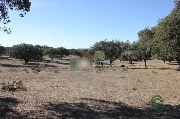 Finca rústica de 550 ha en venta en Cáceres