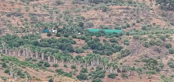 Finca agrícola de 3,103 ha en venta en Monda, Malaga