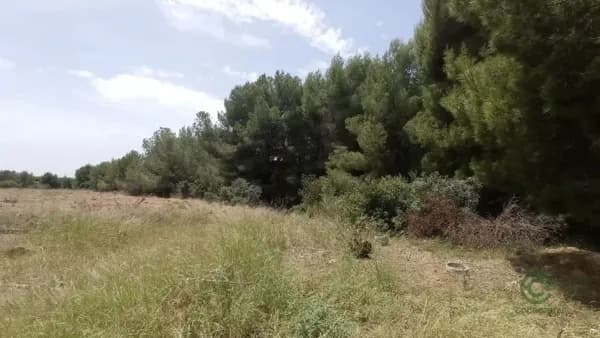 Finca agrícola de 1,26 ha en venta en Naquera, Valencia