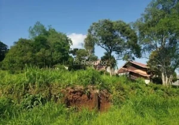 Fazenda rustica de 3,6 ha para venda em Rio grande do sul