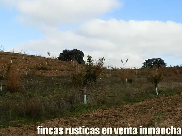 Finca agrícola de 5 ha en venta en Toledo
