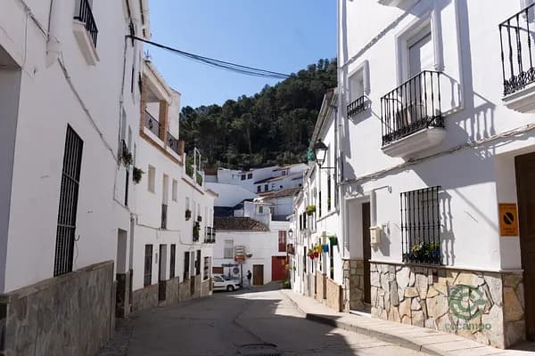 Finca rústica de 0,009 ha en venta en El gastor, Cadiz