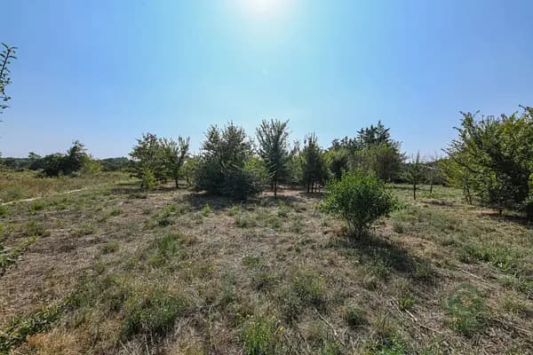 Propriété rustique de 0,23 ha pour vente à Occitanie