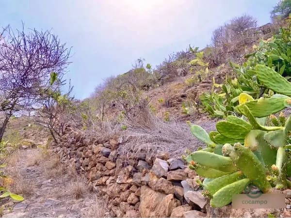 Finca rústica de 0,45 ha en venta en Santa cruz de tenerife