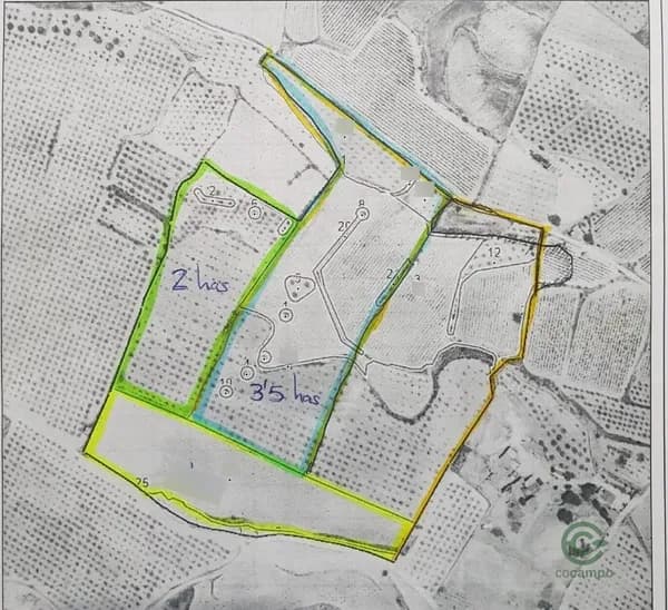 Finca rústica de 10 ha en venta en Pinoso, Alicante