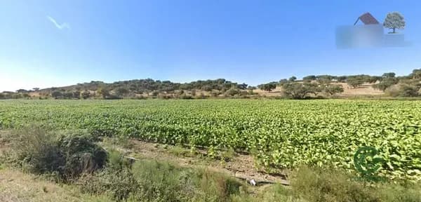Finca agrícola de 23 ha en venta en Cáceres