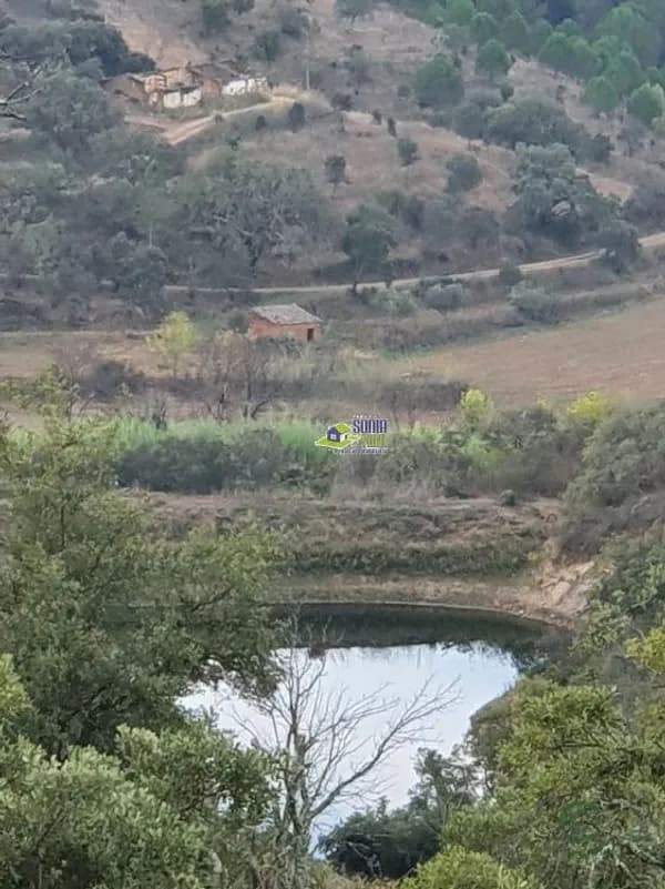 Finca rústica de 20 ha en venta en Silves, Faro