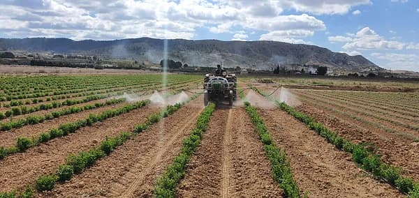 Agricultural property of 7,6 ha for sale in Alicante