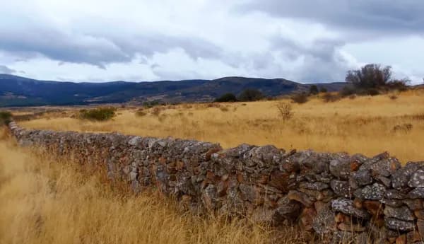 Finca rústica de 500 ha en venta en Segovia