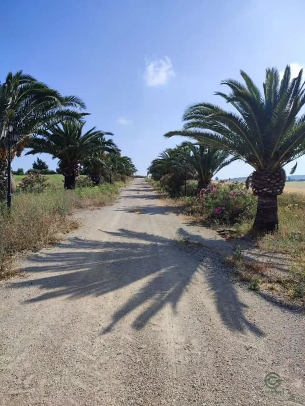 Finca agrícola de 7 ha en venta en Arcos de la frontera, Cadiz