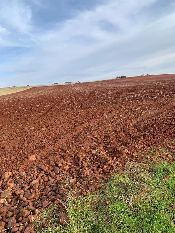 Finca agrícola de 6,43 ha en venta en Ciudad real
