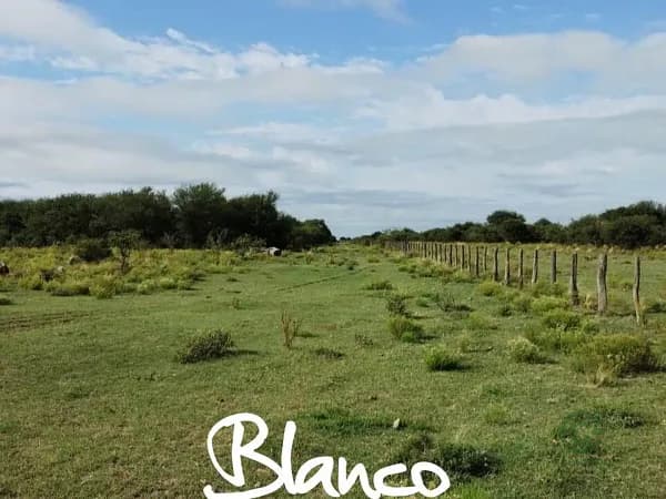 Finca rústica de 2100 ha en venta en San luis