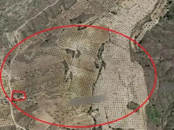 Finca agrícola de 16,29 ha en venta en Caudete, Albacete