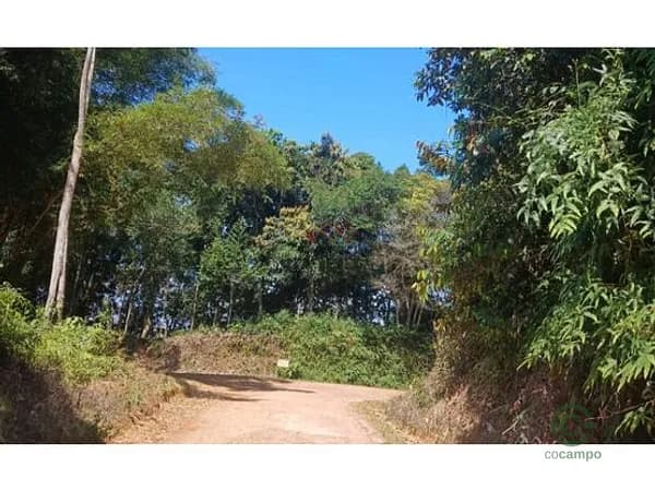 Finca rústica de 1,5 ha en venta en Antioquia
