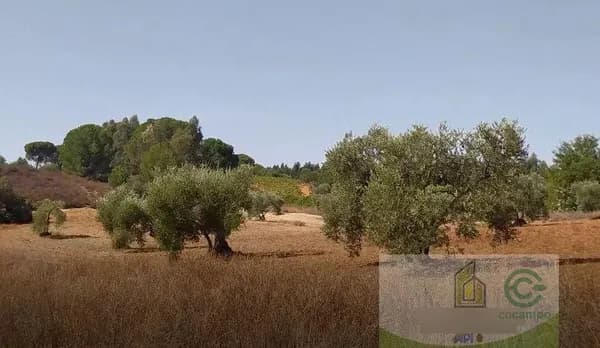 Finca rústica de 2,0061 ha en venta en Villarrasa, Huelva