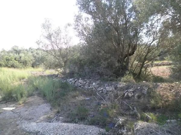 Finca agrícola de 1,38 ha en venta en Tortosa, Tarragona