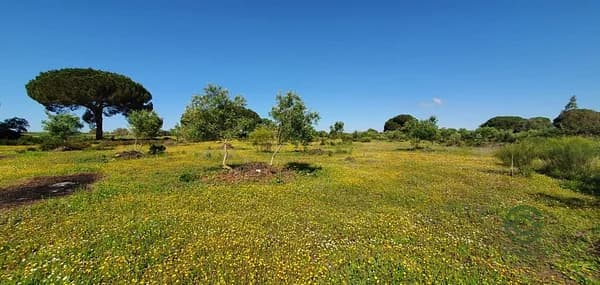 Finca rústica de 0,4 ha en venta en Cádiz