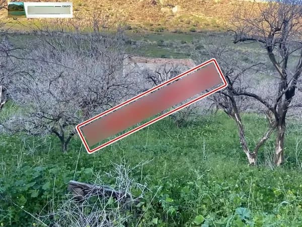 Finca agrícola de 1,3226 ha en venta en La aldea de san nicolas, Las palmas