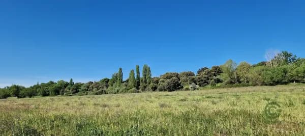 Finca rústica de 600 ha en venta en Madrid