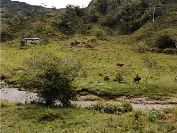Finca de recreo de 0,3757 ha en venta en Antioquia