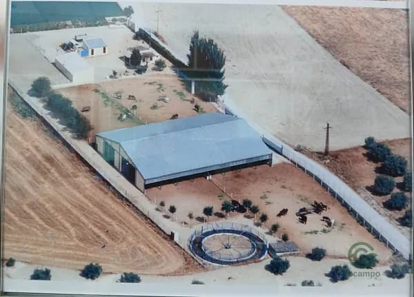 Finca rústica de 2 ha en venta en Toledo
