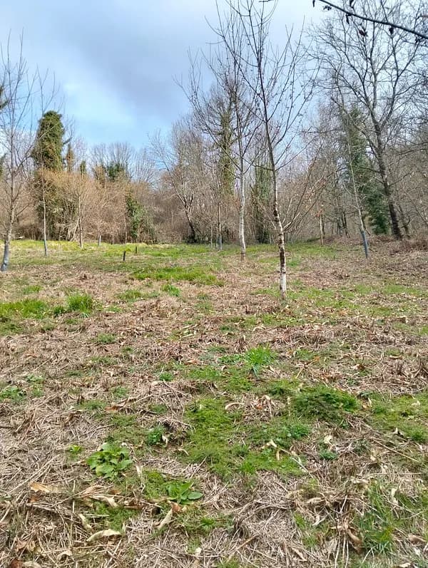 Finca rústica de 0,4 ha en venta en Lugo