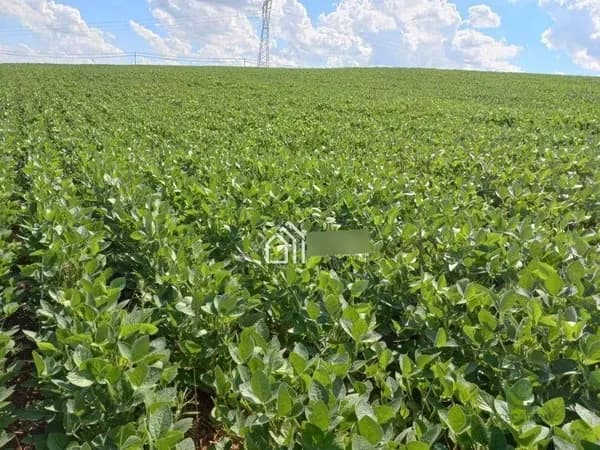 Fazenda agrícola de 338,8 ha para venda em Paraná