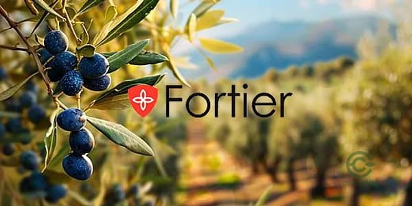 Finca agrícola de 2,816 ha en venta en Martos, Jaen