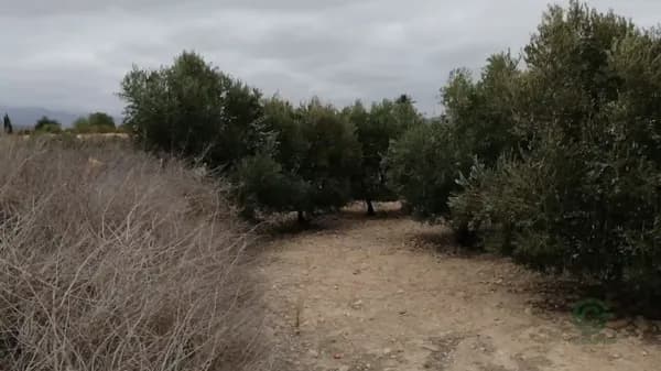 Finca rústica de 0,32 ha en venta en Murcia