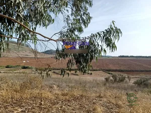 Finca agrícola de 0,37 ha en venta en Rosario (el), Sta.cruz tener.