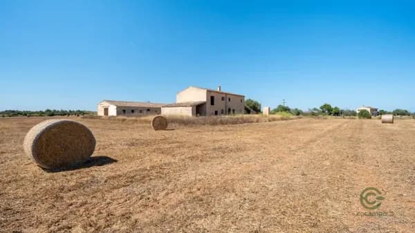 Finca agrícola de 26,3 ha en venta en Campos, Mallorca