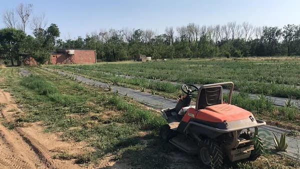 Finca agrícola de 1,8 ha en venta en Sant pere pescador, Girona