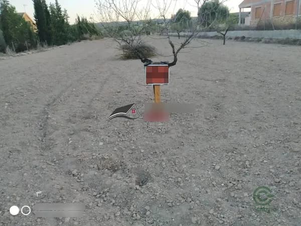 Finca agrícola de 0,4 ha en venta en Murcia, Murcia