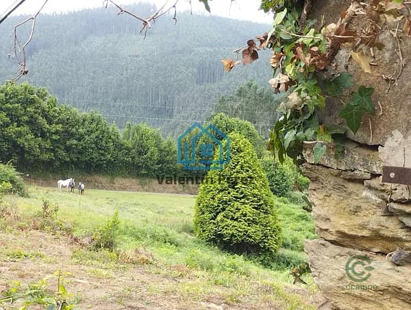 Finca rústica de 0,3893 ha en venta en Cerdido, La coruña