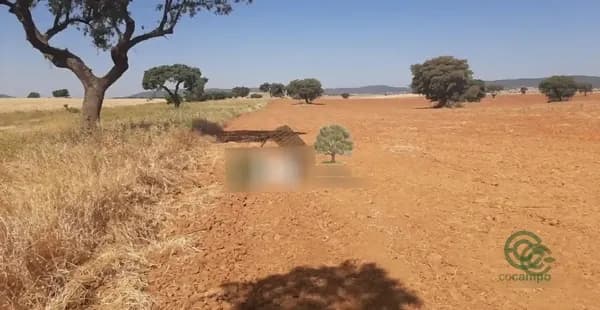 Finca rústica de 260 ha en venta en Toledo