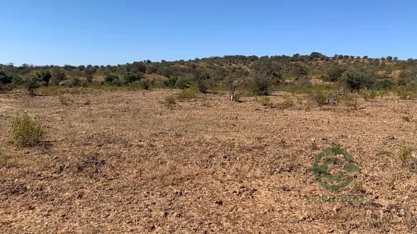 Finca cinegética de 400 ha en alquiler en Huelva