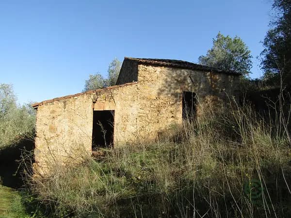 Rustic property of 2,2 ha for sale in Santarém
