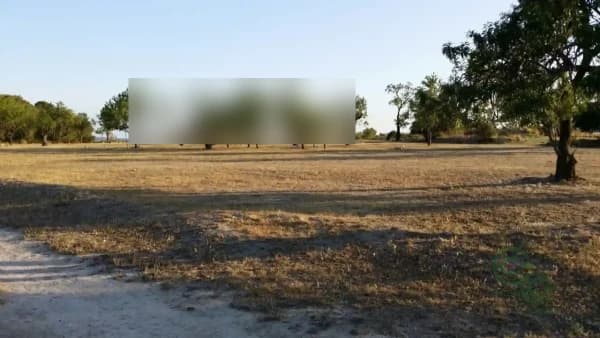 Finca agrícola de 0,0444 ha en venta en Sant jaume dels domenys, Tarragona