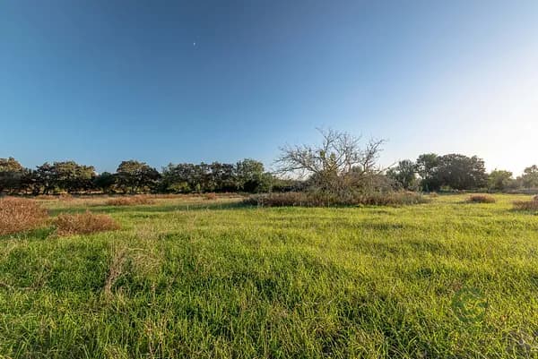 Finca rústica de 1,9782 ha en venta en Cas concos, Islas baleares