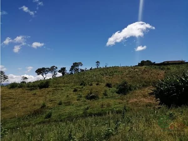 Finca agrícola de 1 ha en venta en Antioquia