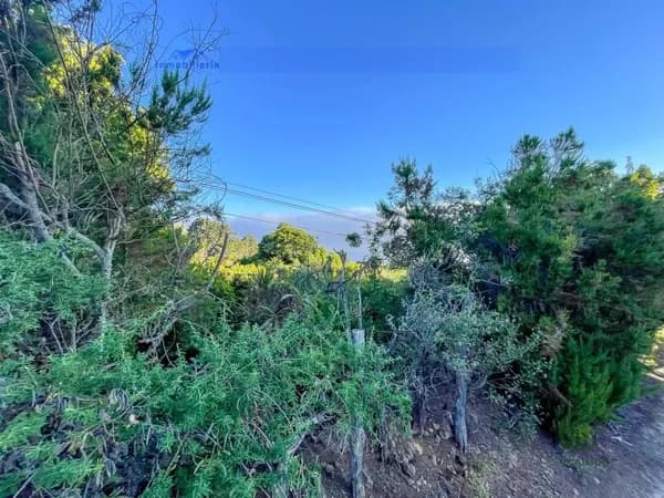 Finca rústica de 1,2 ha en venta en Roque faro, Santa cruz de tenerife