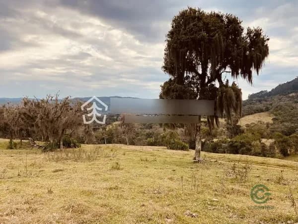 Fazenda rustica de 2 ha para venda em Santa catarina