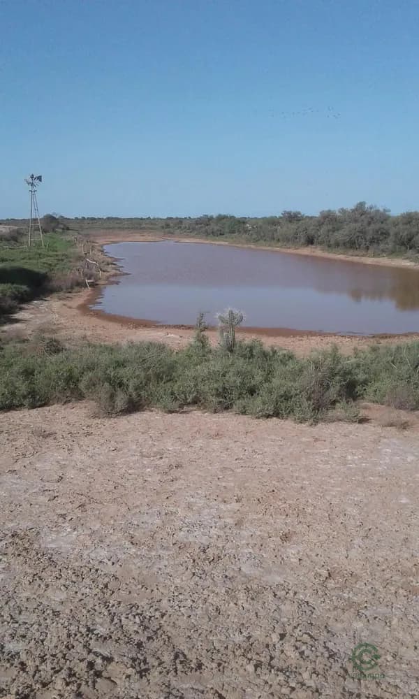 Finca rústica de 1000 ha en venta en Santiago del estero