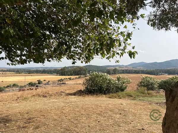 Finca rústica de 6 ha en venta en Cádiz
