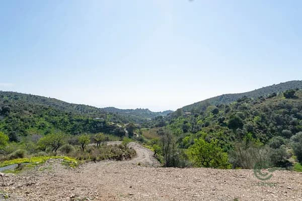 Finca rústica de 6,3236 ha en venta en Vélez - málaga, Malaga