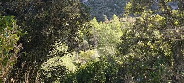 Finca rústica de 1,4373 ha en venta en Mas de barberans, Tarragona