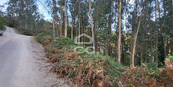 Terreno urbano de 0,1036 ha en venta en Pousada de saramagos, Braga