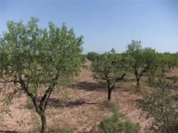 Finca agrícola de 1,96 ha en venta en Castelldans, Lleida