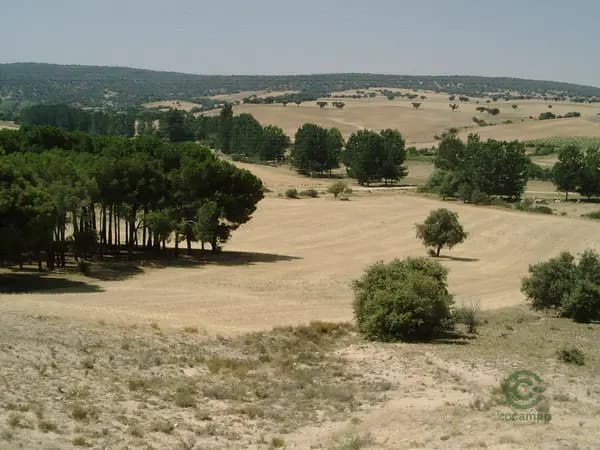 Finca agrícola de 4,8668 ha en venta en Ávila