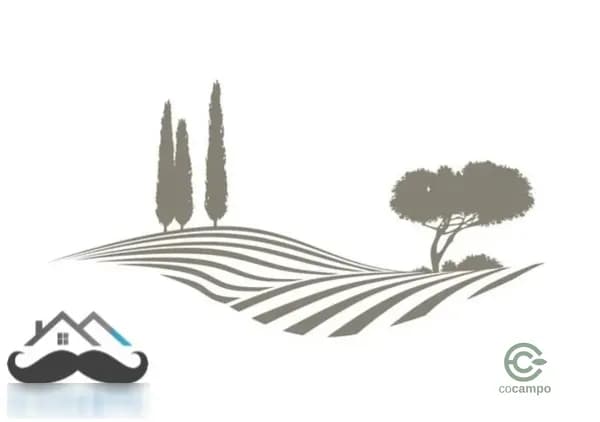 Finca agrícola de 0,13 ha en venta en Archena, Murcia